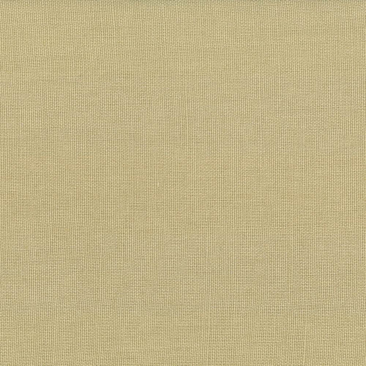 Lismore Mushroom by Kasmir Fabric 1432 100% Linen
 BRAZIL </p><p>Repeat: Horizontal: N/A and Vertical: N/A 54 - Fabric Carolina -