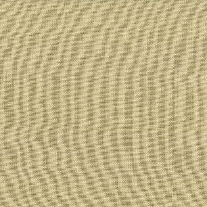 Lismore Mushroom by Kasmir Fabric 1432 100% Linen BRAZIL 8,000 Wyzenbeek Double Rubs Horizontal: 0 Inches and Vertical: 0 Inches 54 - Fabric Carolina -