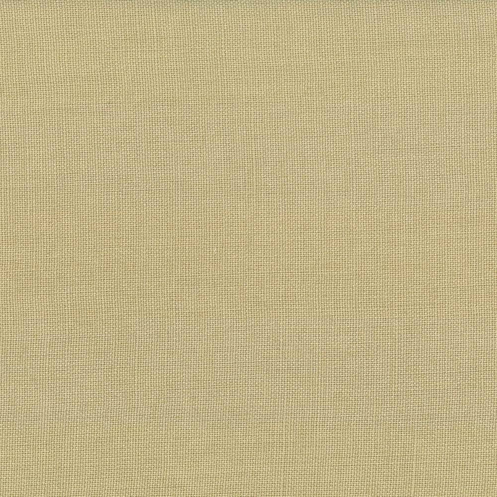 Lismore Mushroom by Kasmir Fabric 1432 BRAZIL 8,000 Wyzenbeek Double Rubs H: N/A, V:N/A 54 - Fabric Carolina - Kasmir