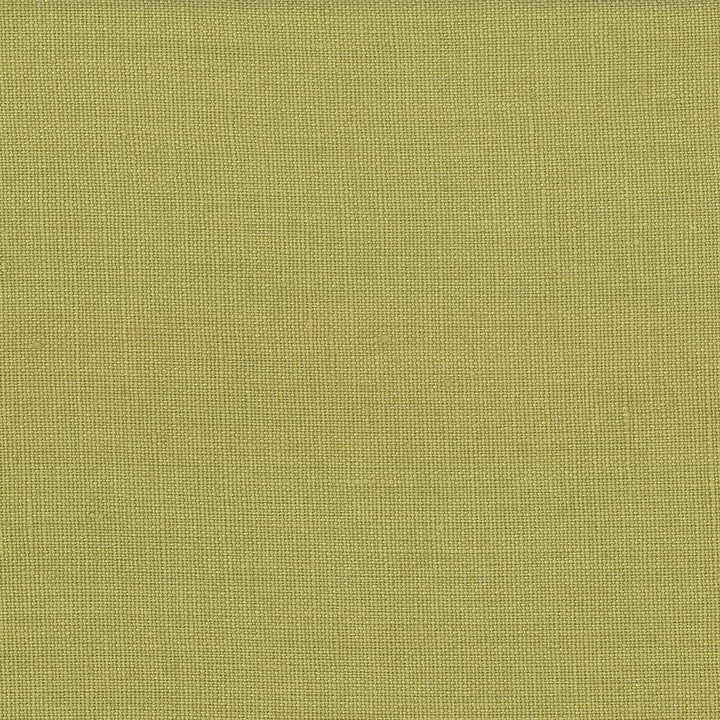 Lismore Pear by Kasmir Fabric 1432 BRAZIL 8,000 Wyzenbeek Double Rubs H: N/A, V:N/A 54 - Fabric Carolina - Kasmir