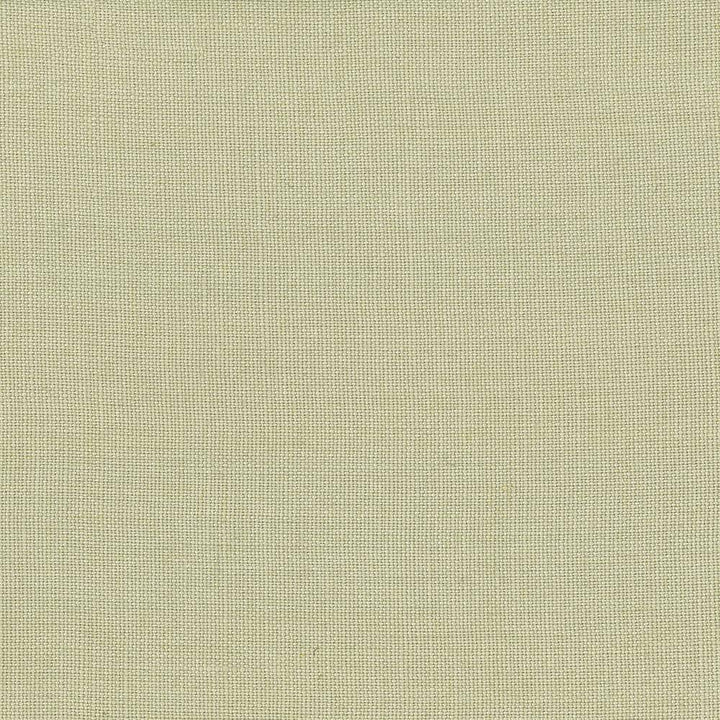 Lismore Pebble by Kasmir Fabric 1432 BRAZIL 8,000 Wyzenbeek Double Rubs H: N/A, V:N/A 54 - Fabric Carolina - Kasmir