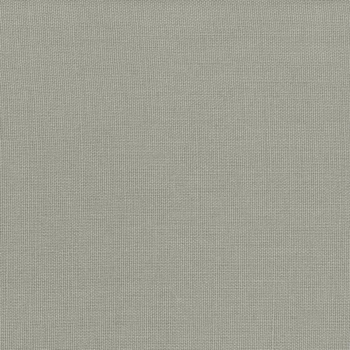Lismore Pewter by Kasmir Fabric 1432 BRAZIL 8,000 Wyzenbeek Double Rubs H: N/A, V:N/A 54 - Fabric Carolina - Kasmir