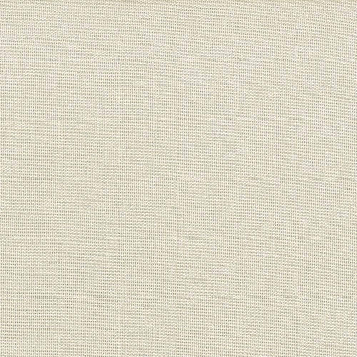 Lismore Platinum by Kasmir Fabric 1432 BRAZIL 8,000 Wyzenbeek Double Rubs H: N/A, V:N/A 54 - Fabric Carolina - Kasmir
