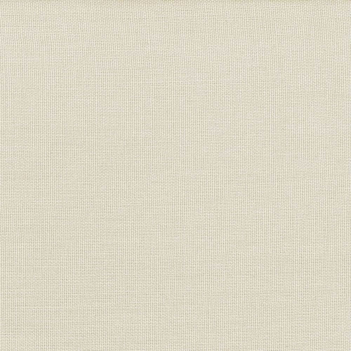 Lismore Platinum by Kasmir Fabric 1432 100% Linen BRAZIL 8,000 Wyzenbeek Double Rubs Horizontal: 0 Inches and Vertical: 0 Inches 54 - Fabric Carolina -