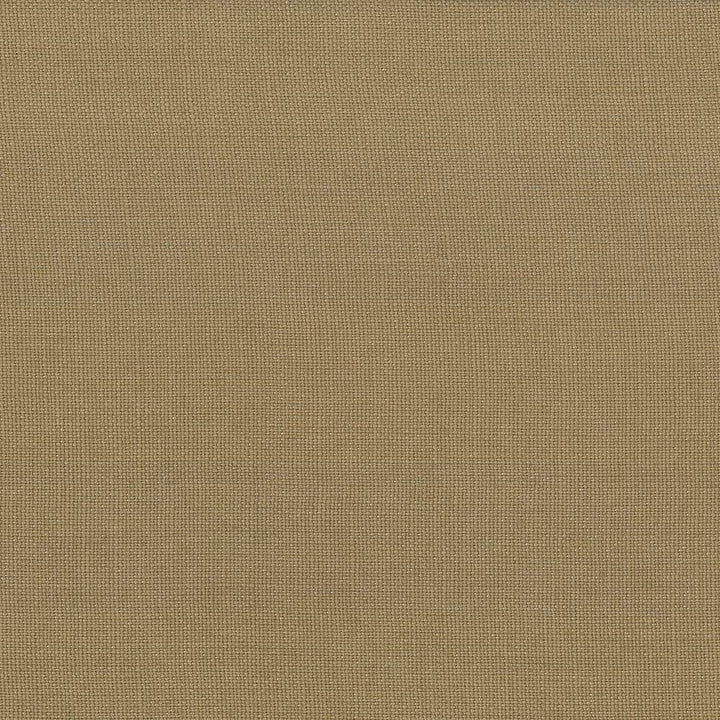 Lismore Sepia by Kasmir Fabric 1432 BRAZIL 8,000 Wyzenbeek Double Rubs H: N/A, V:N/A 54 - Fabric Carolina - Kasmir