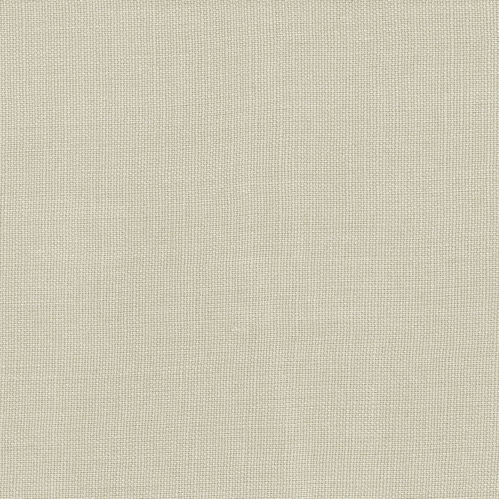 Lismore Silver by Kasmir Fabric 1432 100% Linen
 BRAZIL 8,000 Wyzenbeek Double Rubs Horizontal: N/A and Vertical: N/A 54 - Fabric Carolina -