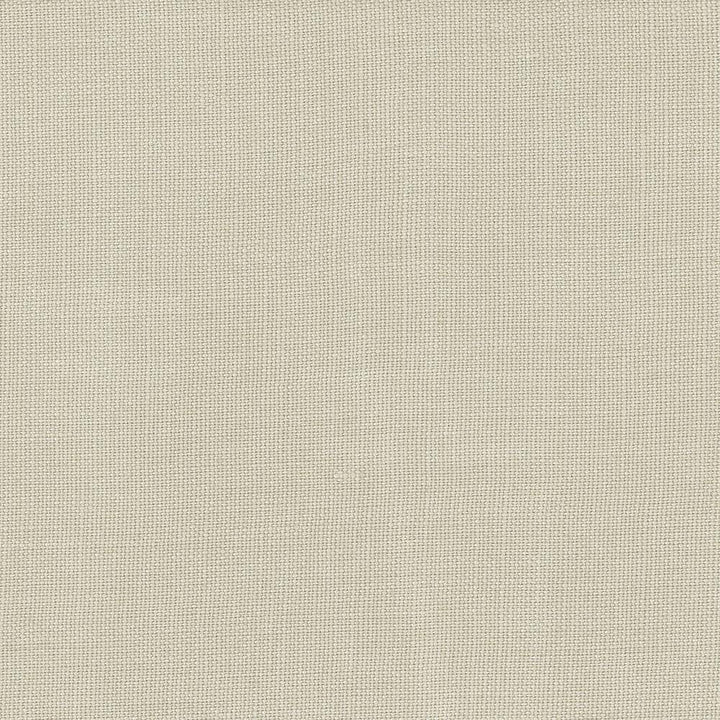 Lismore Silver by Kasmir Fabric 1432 BRAZIL 8,000 Wyzenbeek Double Rubs H: N/A, V:N/A 54 - Fabric Carolina - Kasmir