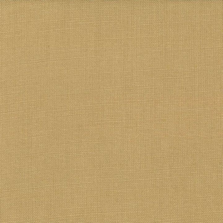 Lismore Straw by Kasmir Fabric 1432 BRAZIL 8,000 Wyzenbeek Double Rubs H: N/A, V:N/A 54 - Fabric Carolina - Kasmir