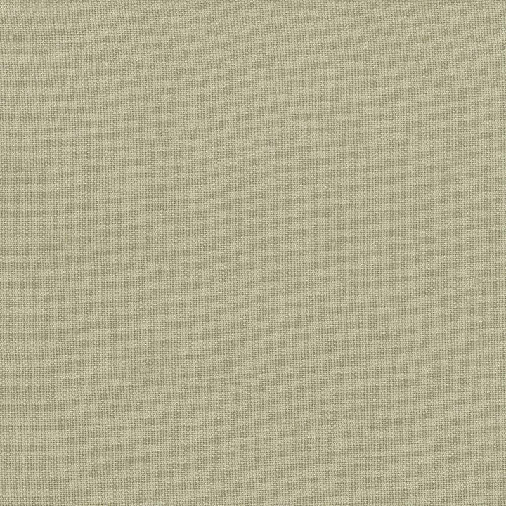 Lismore Taupe by Kasmir Fabric 1432 BRAZIL 8,000 Wyzenbeek Double Rubs H: N/A, V:N/A 54 - Fabric Carolina - Kasmir