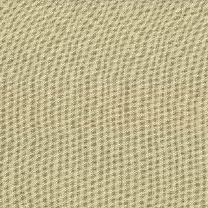 Lismore Tea Stain by Kasmir Fabric 1432 BRAZIL 8,000 Wyzenbeek Double Rubs H: N/A, V:N/A 54 - Fabric Carolina - Kasmir