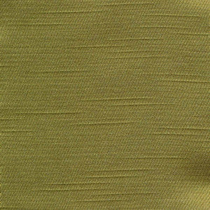 Lisson Grove Kiwi by Kasmir Fabric