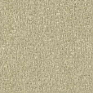 Litestar Sand by Kravet Design Fabric