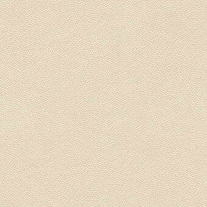 Kravet Design Litestar-1 by Kravet Design Fabric
