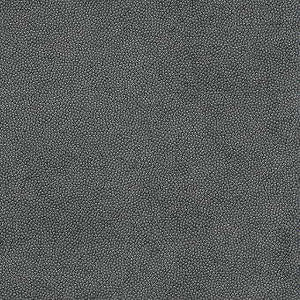 Litestar Iron by Kravet Design Fabric