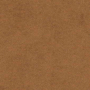 Litestar Copper by Kravet Design Fabric