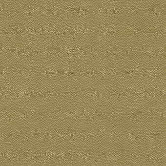 Litestar Gold by Kravet Design Fabric