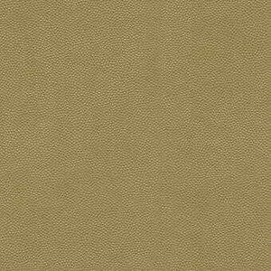 Litestar Gold by Kravet Design Fabric