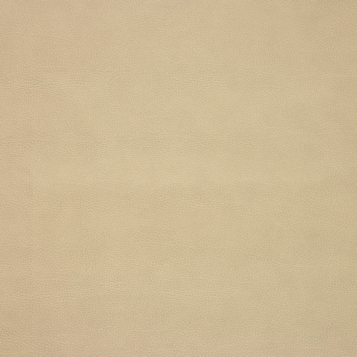 Kravet Design Loris-106 by Kravet Design Fabric