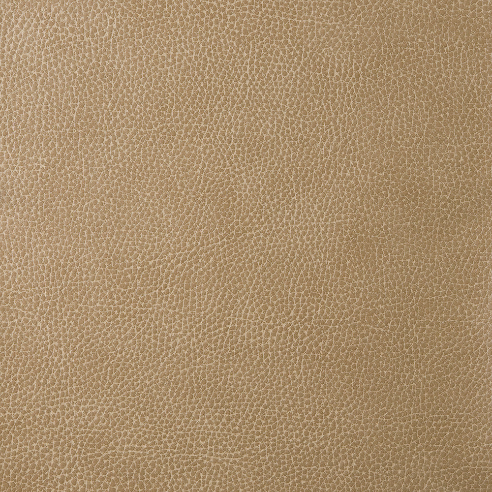 Kravet Design Loris-30 by Kravet Design Fabric