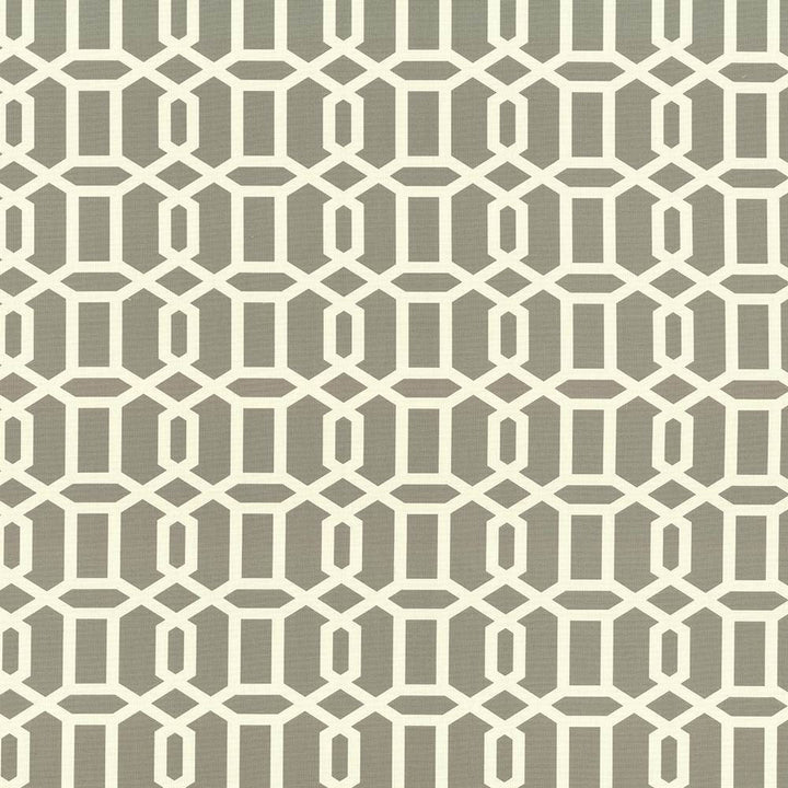 Lowry Place Silver by Kasmir Fabric 5085 100% Cotton
 TURKMENISTAN </p><p>Repeat: Horizontal: 6 6/8 inches and Vertical: 4 4/8 inches 54 - 55 - Fabric Carolina -