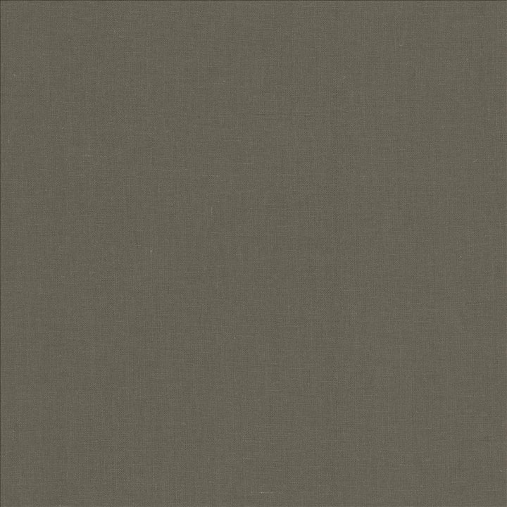 Lucille Grey by Kasmir Fabric 1459 100% Linen
 INDIA 15,000 Wyzenbeek Double Rubs </p><p>Repeat: Horizontal: N/A and Vertical: N/A 54 - Fabric Carolina -