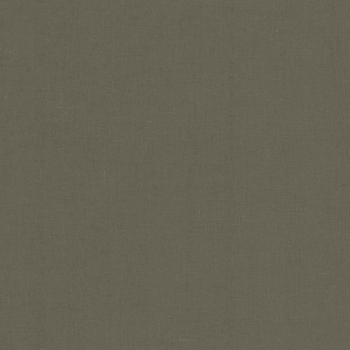 Lucille Grey by Kasmir Fabric 1459 100% Linen
 INDIA </p><p>Repeat: Horizontal: N/A and Vertical: N/A 54 - Fabric Carolina -