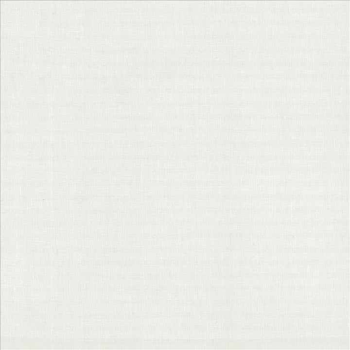 Lucille White by Kasmir Fabric 1459 100% Linen
 INDIA </p><p>Repeat: Horizontal: N/A and Vertical: N/A 54 - Fabric Carolina -