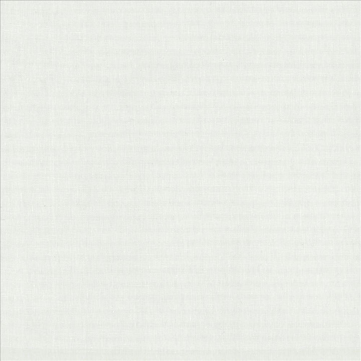 Lucille White by Kasmir Fabric 1459 100% Linen
 INDIA 15,000 Wyzenbeek Double Rubs </p><p>Repeat: Horizontal: N/A and Vertical: N/A 54 - Fabric Carolina -