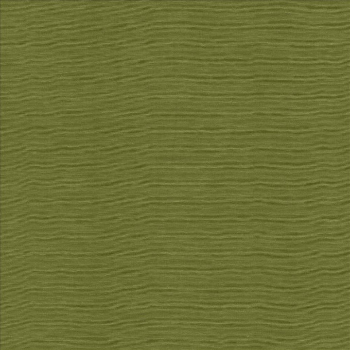 Lucinda Avocado  by Kasmir Fabric See sample 72% Rayon
28% Polyester
 CHINA 40,000 Martindale Cycles </p><p>Repeat: Horizontal: N/A and Vertical: N/A 54  - Fabric Carolina -