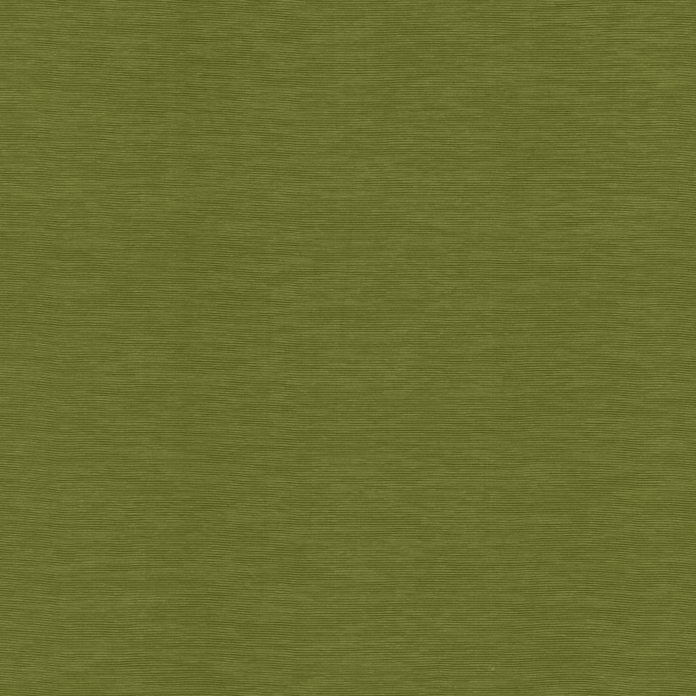 Lucinda Avocado by Kasmir Fabric 5166 72% Rayon
28% Polyester
 CHINA </p><p>Repeat: Horizontal: N/A and Vertical: N/A 54 - Fabric Carolina -