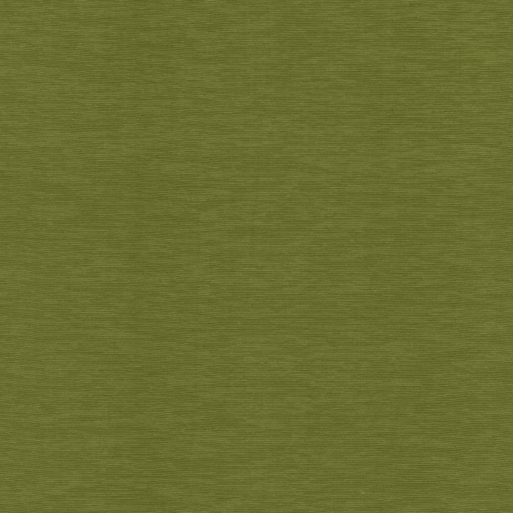 Lucinda Avocado by Kasmir Fabric 5166 72% Rayon
28% Polyester
 CHINA </p><p>Repeat: Horizontal: N/A and Vertical: N/A 54 - Fabric Carolina -