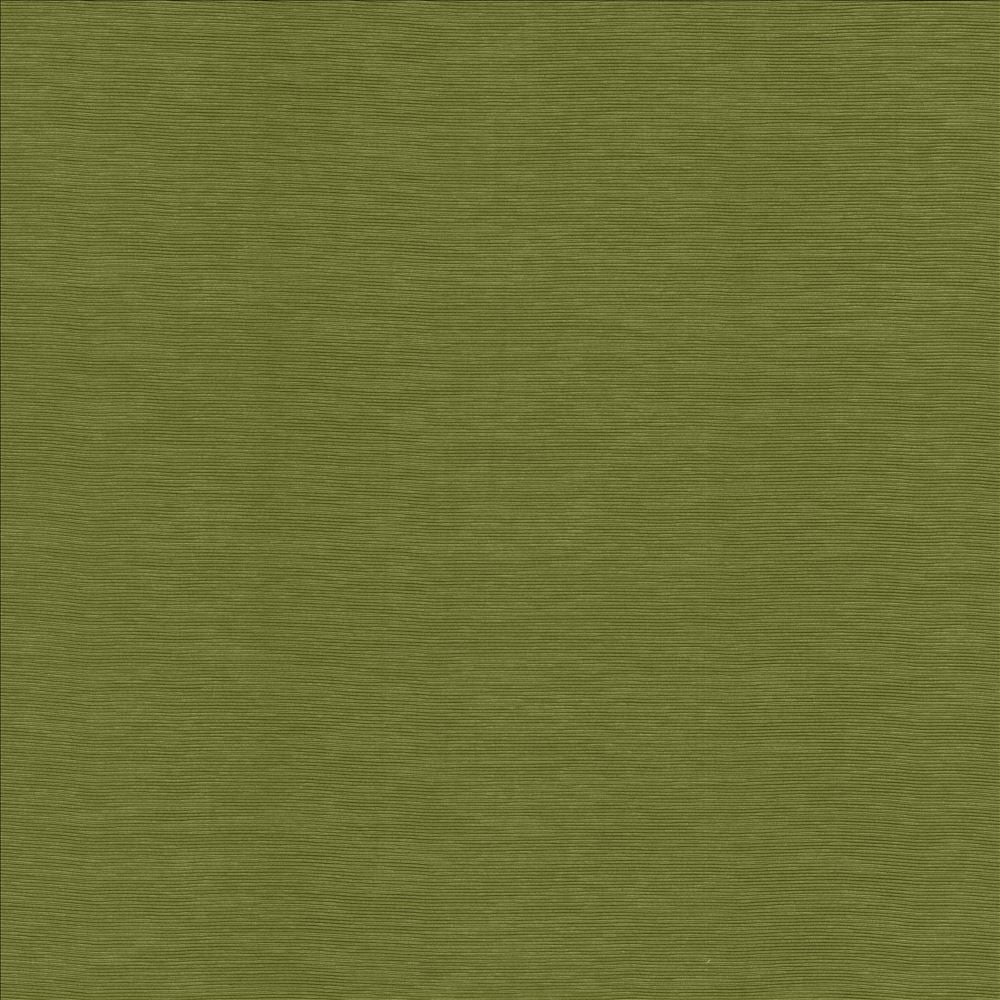 Lucinda Avocado by Kasmir Fabric 5166 72% Rayon
28% Polyester
 CHINA </p><p>Repeat: Horizontal: N/A and Vertical: N/A 54 - Fabric Carolina -