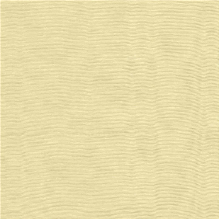 Lucinda Beige  by Kasmir Fabric See sample 72% Rayon
28% Polyester
 CHINA 40,000 Martindale Cycles </p><p>Repeat: Horizontal: N/A and Vertical: N/A 54  - Fabric Carolina -