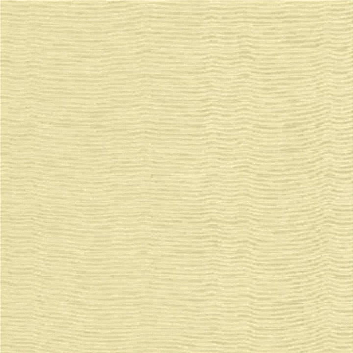 Lucinda Beige by Kasmir Fabric 5166 72% Rayon
28% Polyester
 CHINA 40,000 Martindale Cycles </p><p>Repeat: Horizontal: N/A and Vertical: N/A 54 - Fabric Carolina -