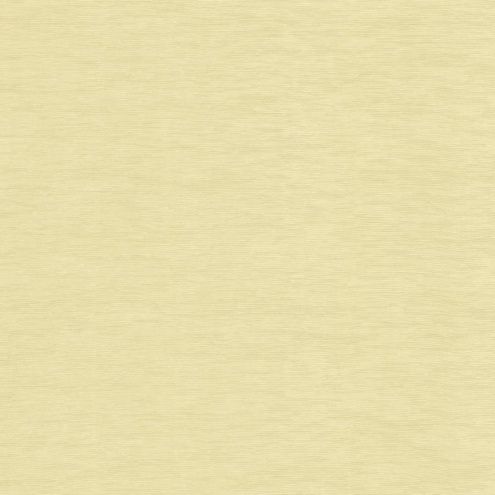 Lucinda Beige by Kasmir Fabric 5166 72% Rayon
28% Polyester
 CHINA </p><p>Repeat: Horizontal: N/A and Vertical: N/A 54 - Fabric Carolina -