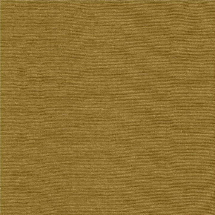 Lucinda Butterscotch by Kasmir Fabric 5166 72% Rayon
28% Polyester
 CHINA </p><p>Repeat: Horizontal: N/A and Vertical: N/A 54 - Fabric Carolina -