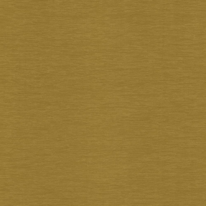 Lucinda Butterscotch by Kasmir Fabric 5166 72% Rayon
28% Polyester
 CHINA </p><p>Repeat: Horizontal: N/A and Vertical: N/A 54 - Fabric Carolina -