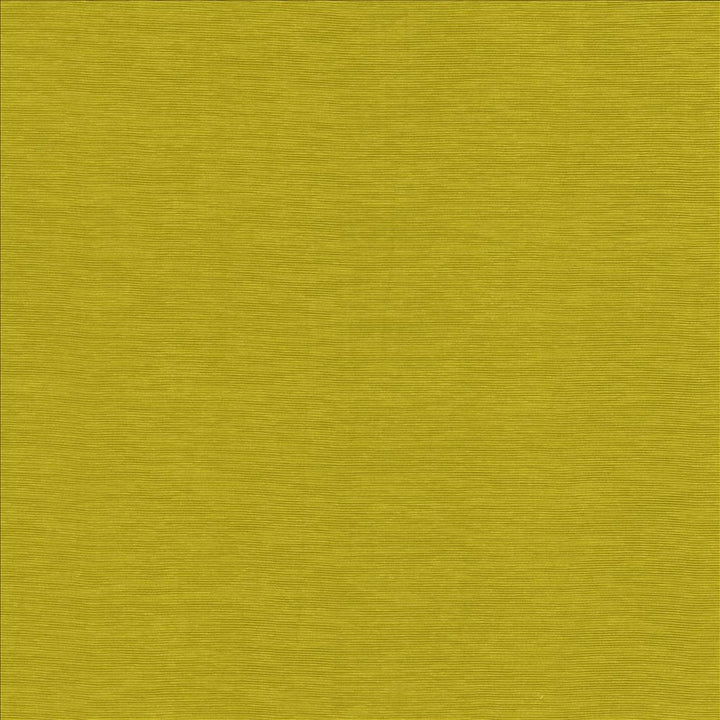 Lucinda Chartreuse by Kasmir Fabric 5166 72% Rayon
28% Polyester
 CHINA 40,000 Martindale Cycles Horizontal: N/A and Vertical: N/A 54 - Fabric Carolina -