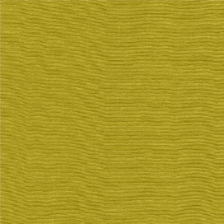 Lucinda Chartreuse by Kasmir Fabric 5166 72% Rayon
28% Polyester
 CHINA 40,000 Martindale Cycles </p><p>Repeat: Horizontal: N/A and Vertical: N/A 54 - Fabric Carolina -