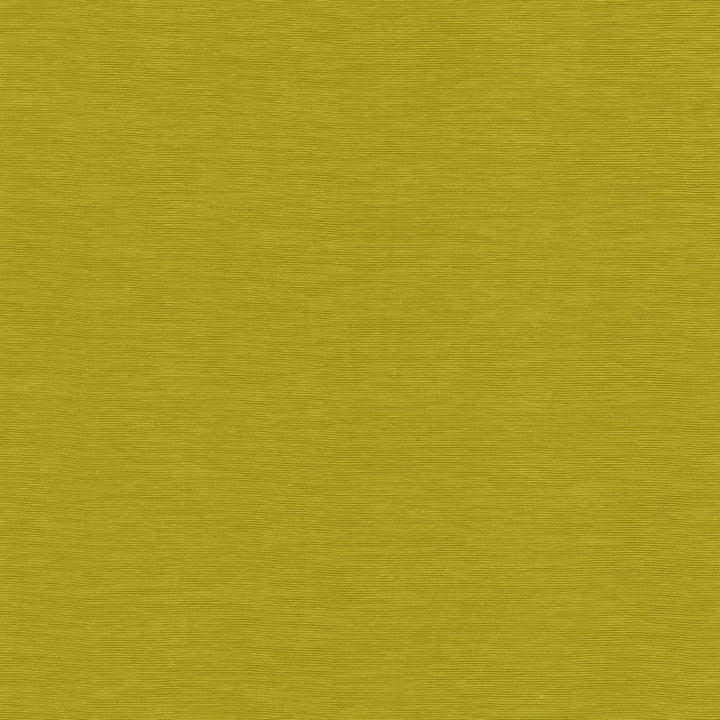 Lucinda Chartreuse by Kasmir Fabric 5166 72% Rayon
28% Polyester
 CHINA </p><p>Repeat: Horizontal: N/A and Vertical: N/A 54 - Fabric Carolina -