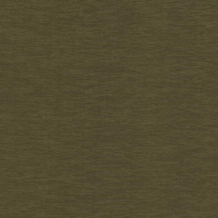 Lucinda Chocolate by Kasmir Fabric 5166 72% Rayon
28% Polyester
 CHINA </p><p>Repeat: Horizontal: N/A and Vertical: N/A 54 - Fabric Carolina -