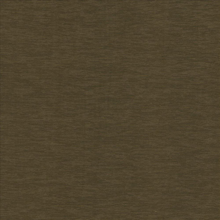 Lucinda Chocolate  by Kasmir Fabric See sample 72% Rayon
28% Polyester
 CHINA 40,000 Martindale Cycles </p><p>Repeat: Horizontal: N/A and Vertical: N/A 54  - Fabric Carolina -