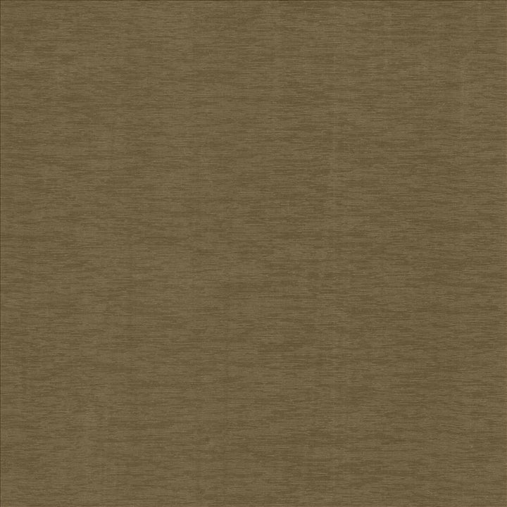 Lucinda Cocoa by Kasmir Fabric 5166 72% Rayon
28% Polyester
 CHINA 40,000 Martindale Cycles Horizontal: N/A and Vertical: N/A 54 - Fabric Carolina -
