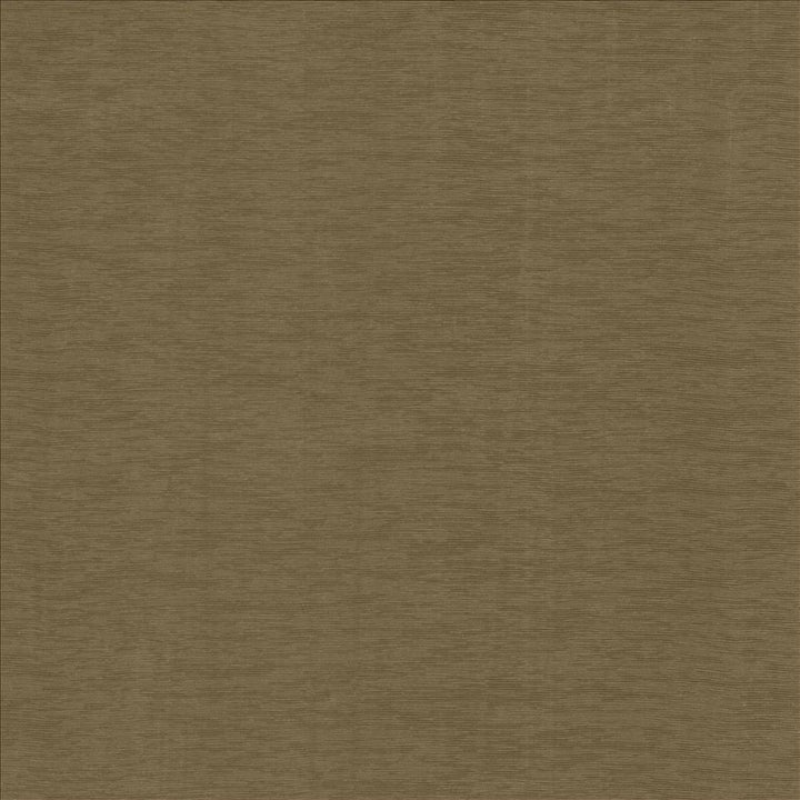 Lucinda Cocoa by Kasmir Fabric 5166 72% Rayon
28% Polyester
 CHINA 40,000 Martindale Cycles </p><p>Repeat: Horizontal: N/A and Vertical: N/A 54 - Fabric Carolina -