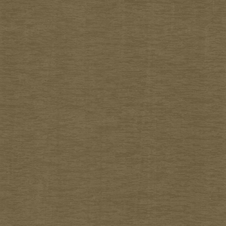 Lucinda Cocoa by Kasmir Fabric 5166 72% Rayon
28% Polyester
 CHINA </p><p>Repeat: Horizontal: N/A and Vertical: N/A 54 - Fabric Carolina -
