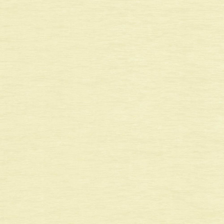 Lucinda Cream by Kasmir Fabric 5166 72% Rayon
28% Polyester
 CHINA </p><p>Repeat: Horizontal: N/A and Vertical: N/A 54 - Fabric Carolina -