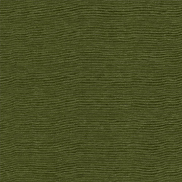 Lucinda Forest by Kasmir Fabric 5166 72% Rayon
28% Polyester
 CHINA 40,000 Martindale Cycles </p><p>Repeat: Horizontal: N/A and Vertical: N/A 54 - Fabric Carolina -