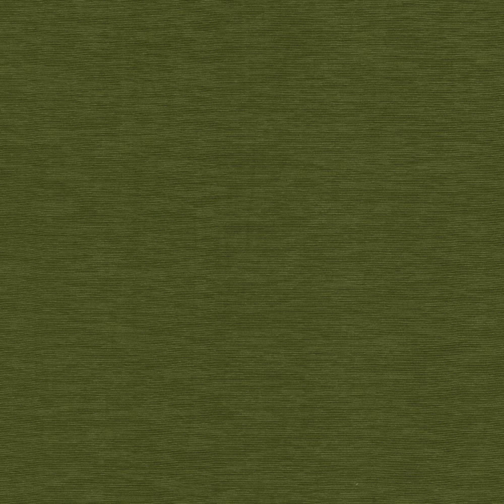 Lucinda Forest by Kasmir Fabric 5166 72% Rayon
28% Polyester
 CHINA </p><p>Repeat: Horizontal: N/A and Vertical: N/A 54 - Fabric Carolina -