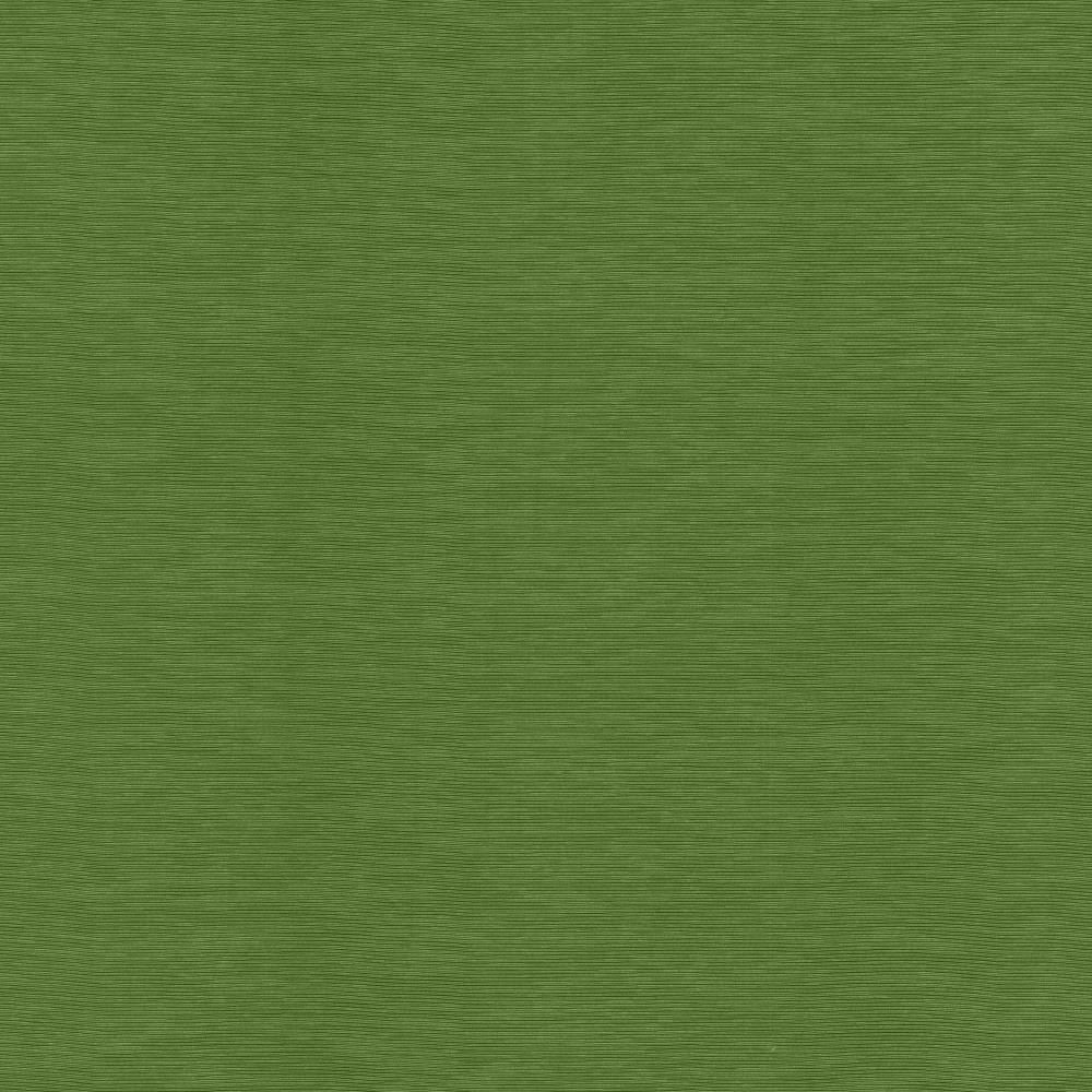 Lucinda Grass by Kasmir Fabric 5166 72% Rayon
28% Polyester
 CHINA </p><p>Repeat: Horizontal: N/A and Vertical: N/A 54 - Fabric Carolina -