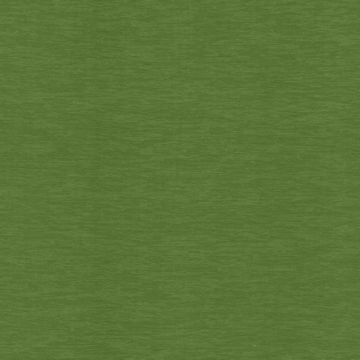 Lucinda Grass by Kasmir Fabric 5166 72% Rayon
28% Polyester
 CHINA </p><p>Repeat: Horizontal: N/A and Vertical: N/A 54 - Fabric Carolina -